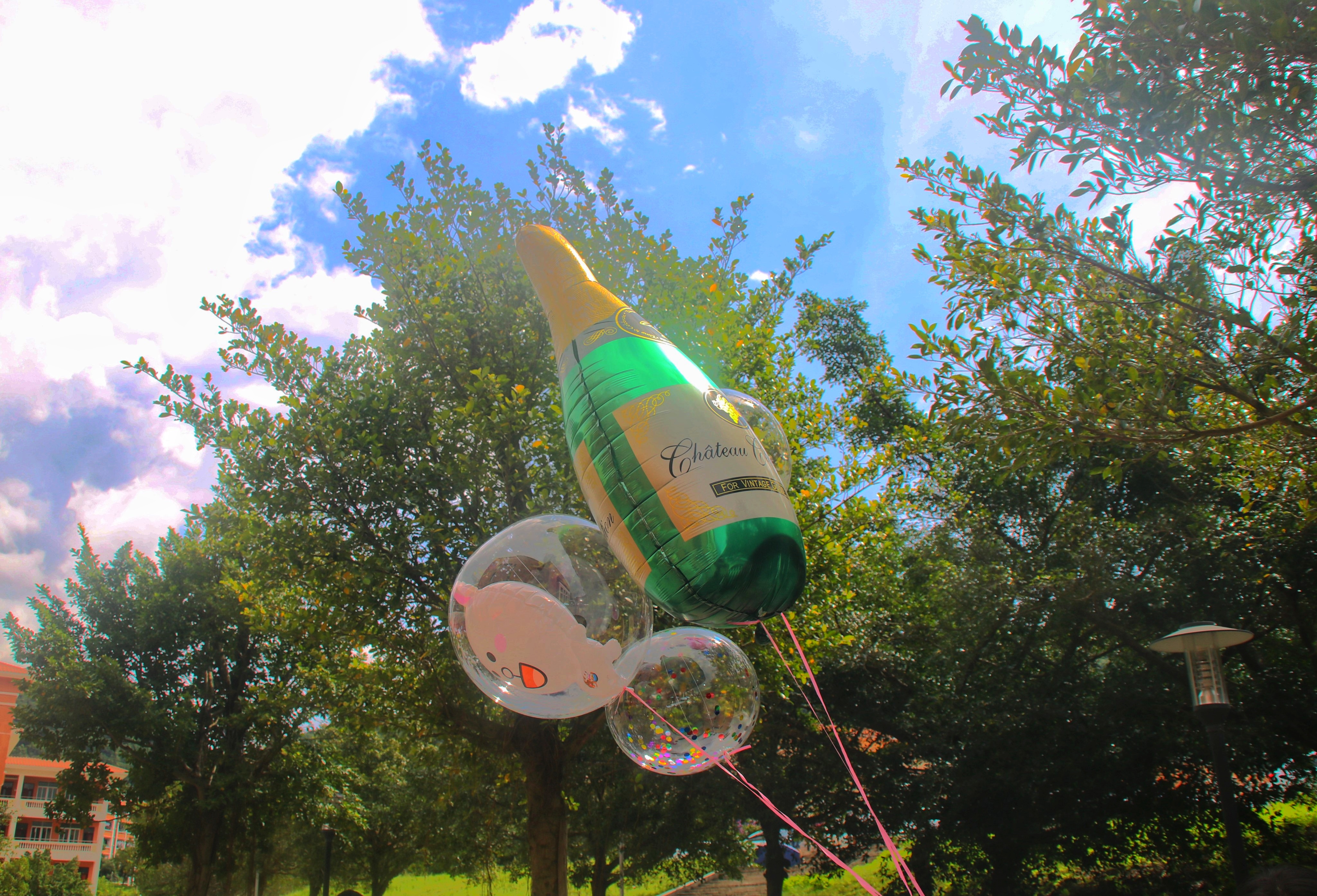 伟德国际1949始于英国