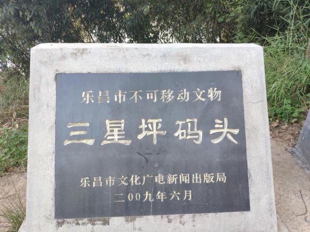 伟德国际1949始于英国